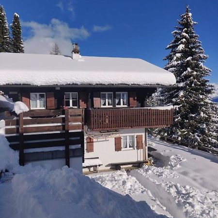 Chalet Grazia Ридеральп Экстерьер фото